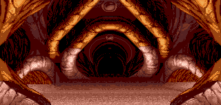 siet10_003_320x152_0885